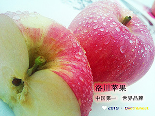 洛川苹果